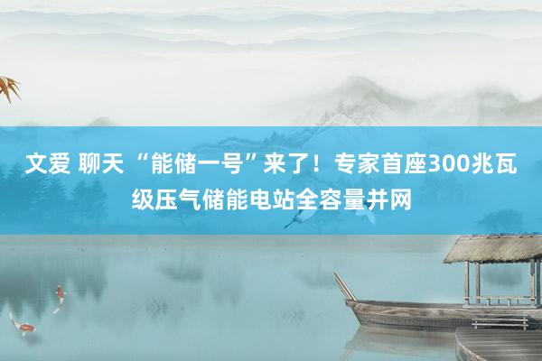 文爱 聊天 “能储一号”来了！专家首座300兆瓦级压气储能电站全容量并网