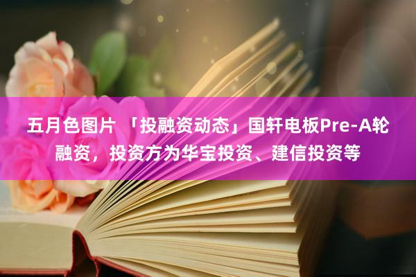 五月色图片 「投融资动态」国轩电板Pre-A轮融资，投资方为华宝投资、建信投资等