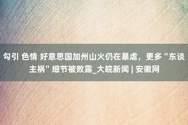 勾引 色情 好意思国加州山火仍在暴虐，更多“东谈主祸”细节被败露_大皖新闻 | 安徽网