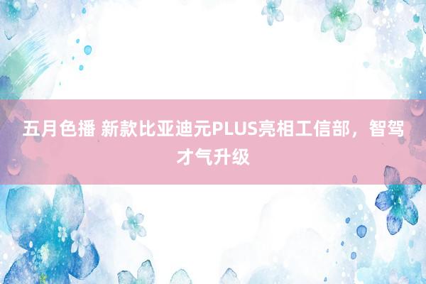 五月色播 新款比亚迪元PLUS亮相工信部，智驾才气升级