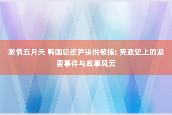 激情五月天 韩国总统尹锡悦被捕: 宪政史上的紧要事件与政事风云